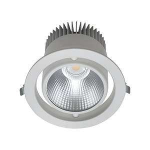 9102 Akrobat Sıva Altı LED Downlight